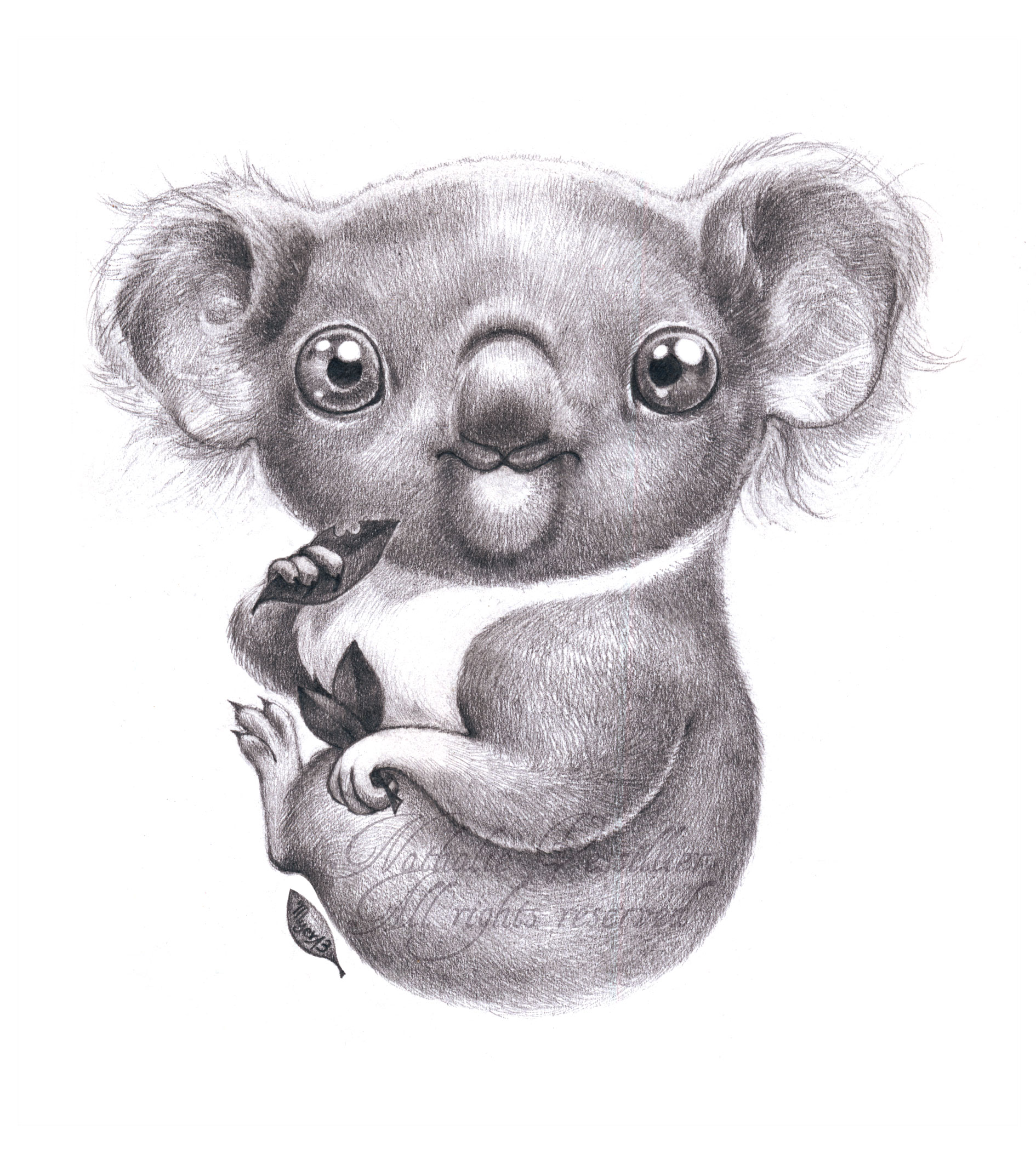 koalalala