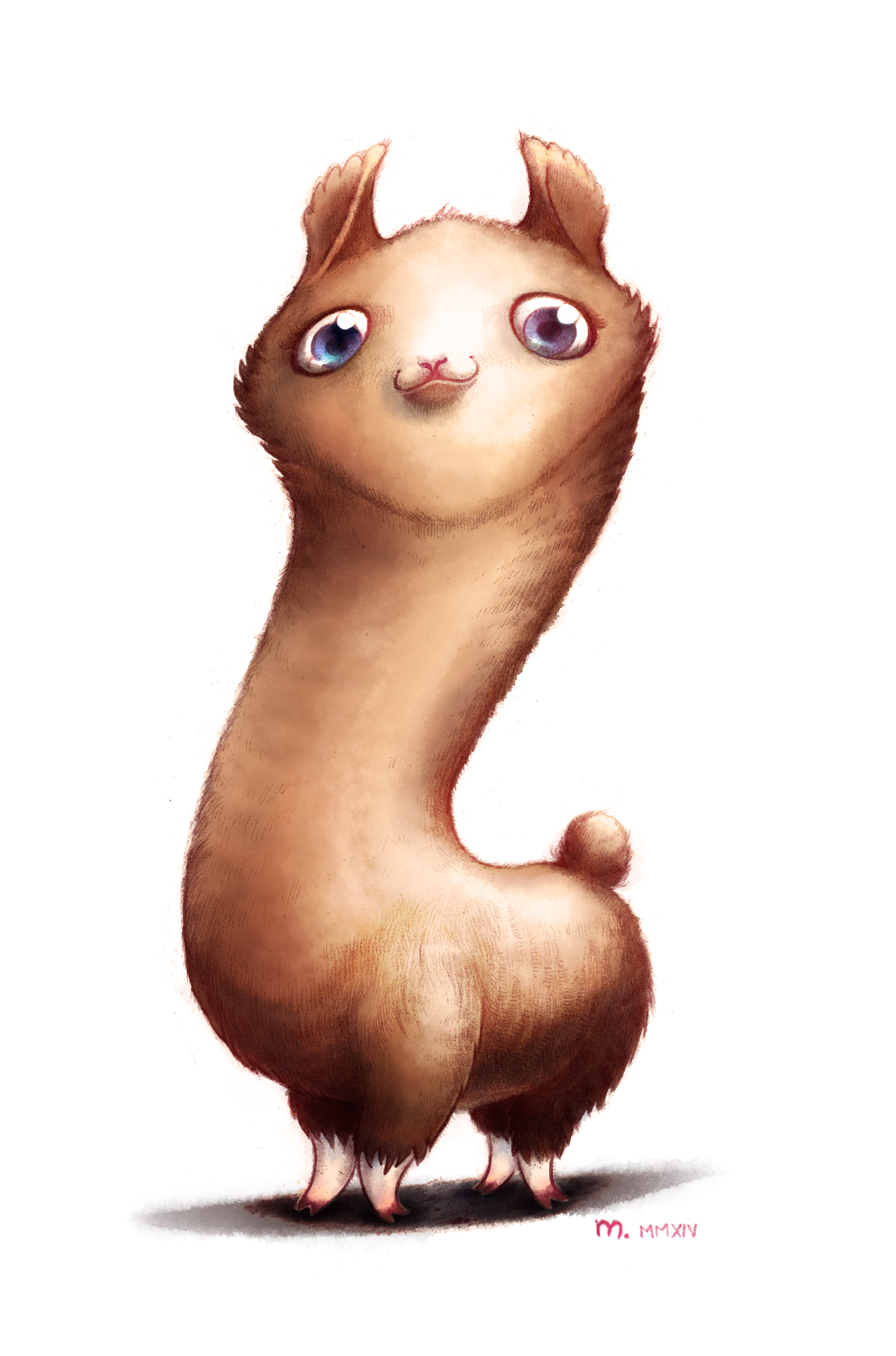 llama chou